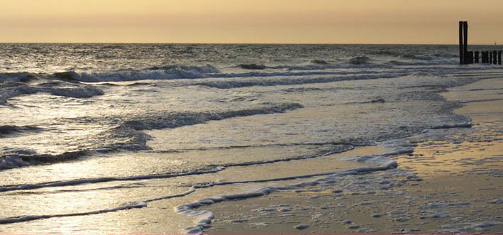 Meer